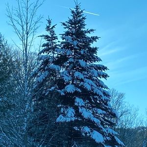 Meet your Posher, Vickie